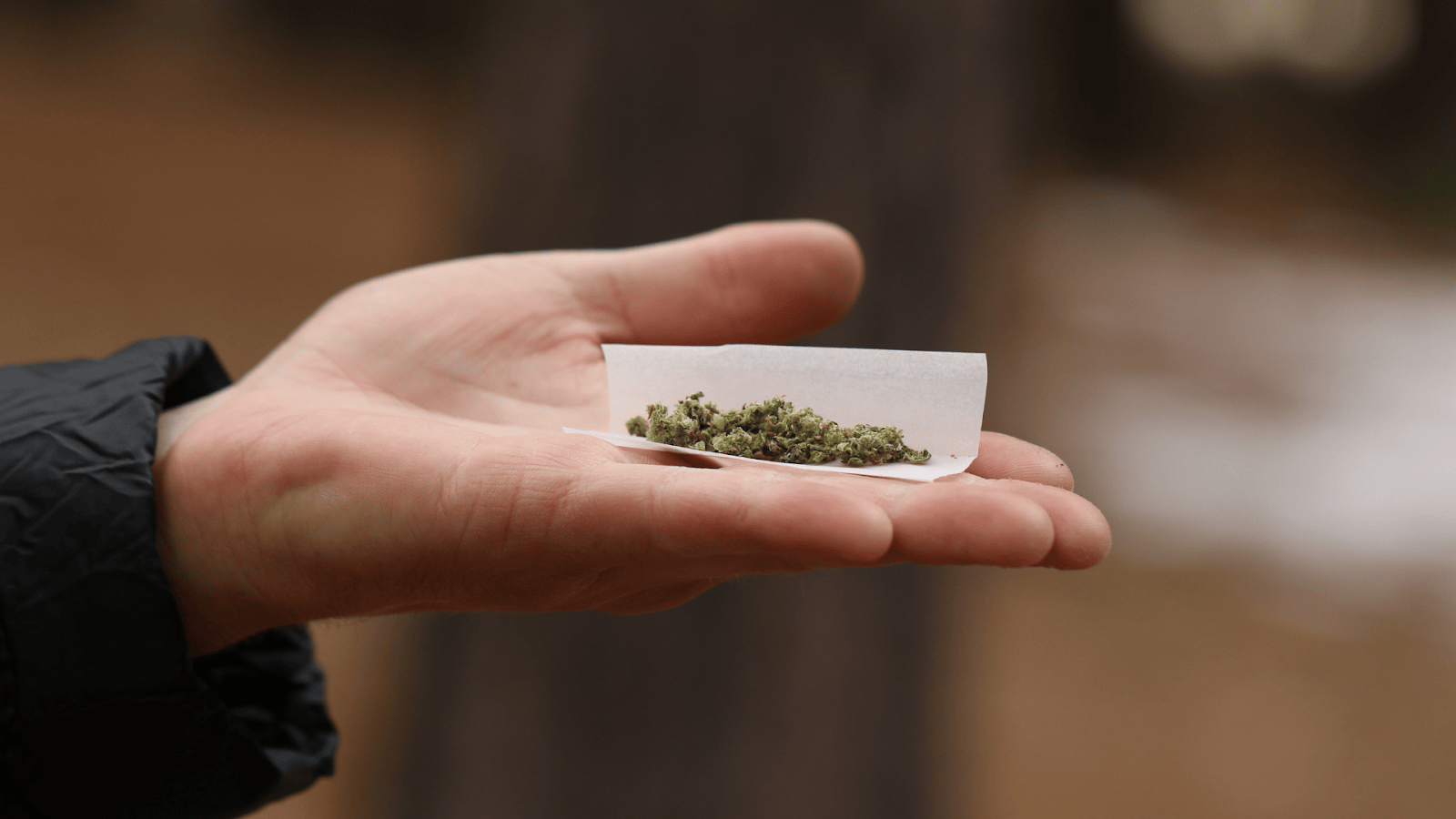 Choosing The Right Kush Queen Product For You
